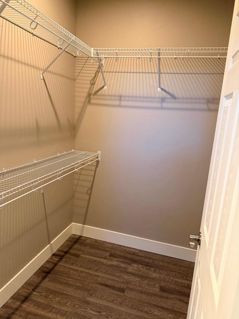 A walk in closet with shelves and a brown carpet.