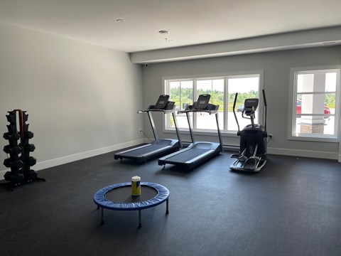 A gym room with treadmills, weights, and a blue exercise ring.