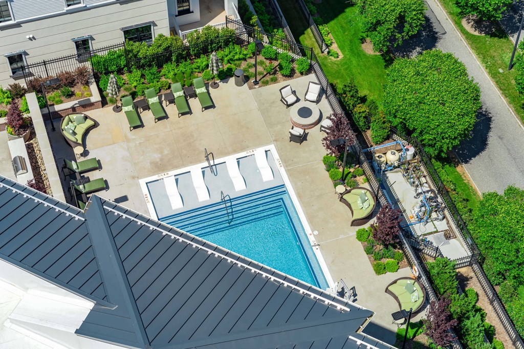 A pool surrounded by a patio and trees.