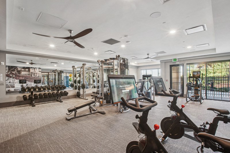 the mansion has a gym with a slew of exercise equipment