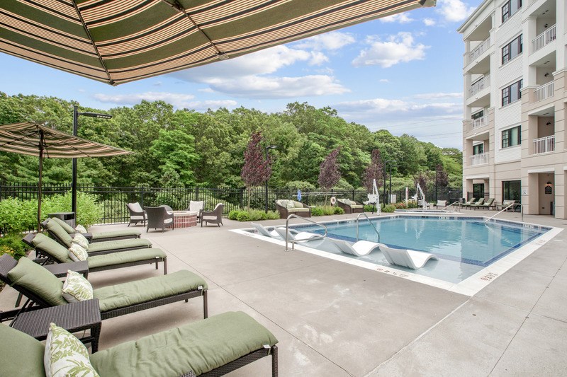 A pool surrounded by trees and chairs under a canopy.