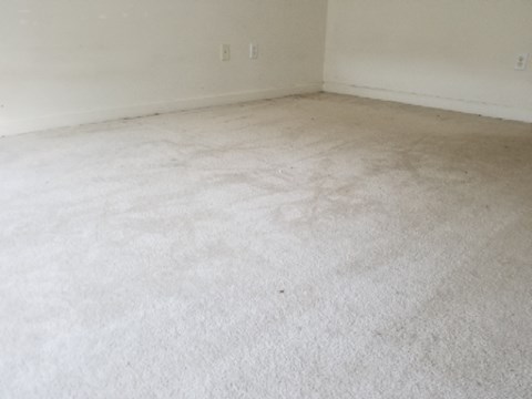 A room with a white carpet and white walls.
