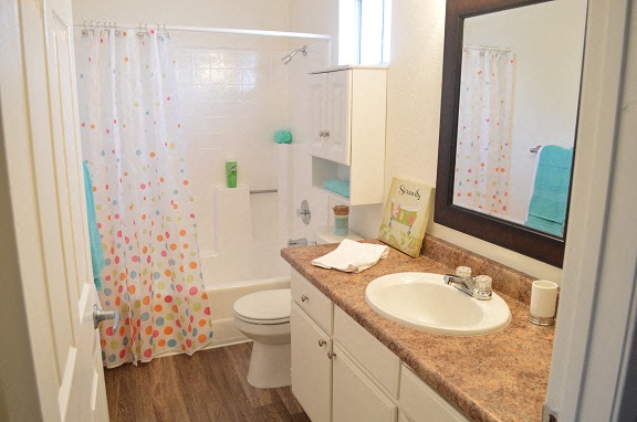 a bathroom with a sink and a toilet and a shower