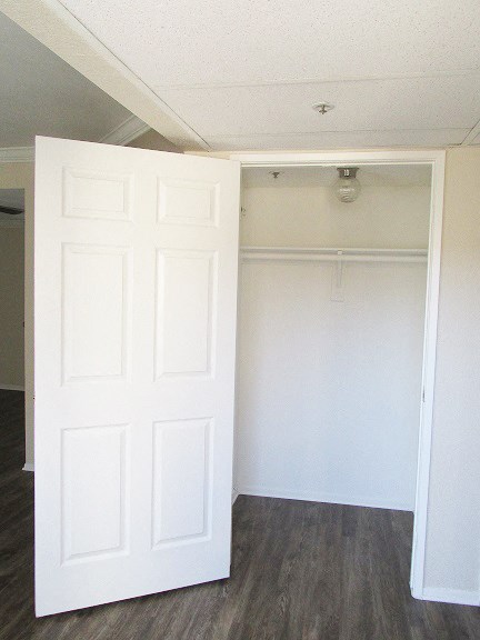 an empty room with a white door and a closet