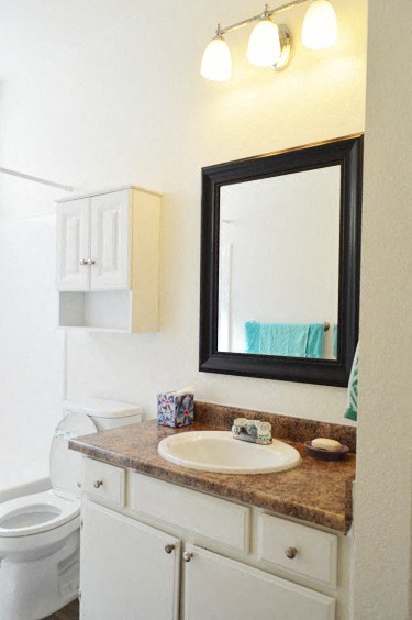 a bathroom with a sink and a mirror and a toilet