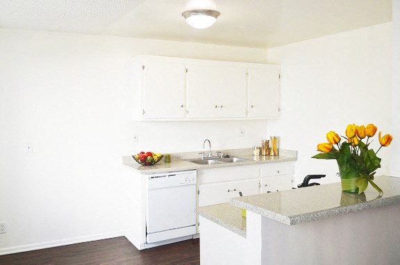 a kitchen with white cabinets and a counter top and a sink