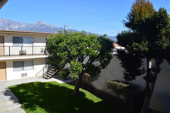 an apartment building with a tree in the yard