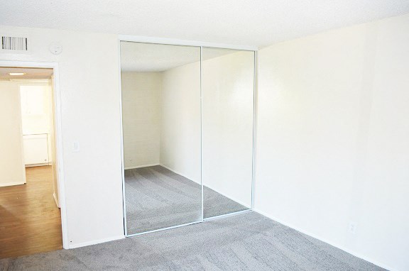 a room with a carpet and a mirror