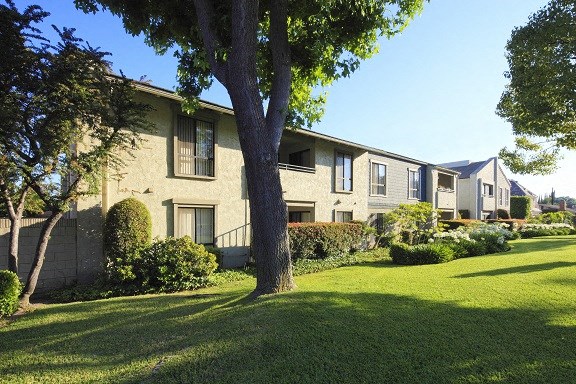 an apartment building with a large tree in the yard