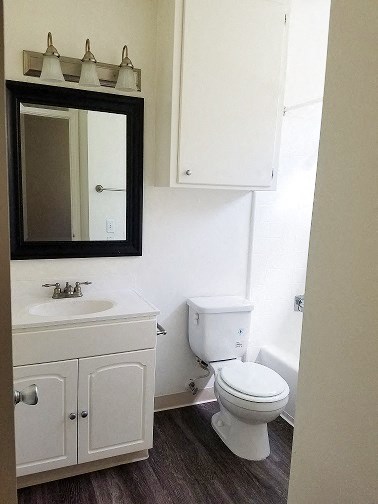a bathroom with a toilet and a sink and a mirror