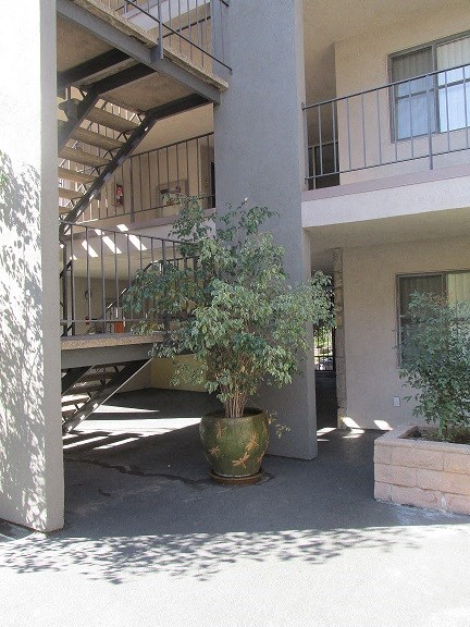 a large potted plant sitting in front of a building