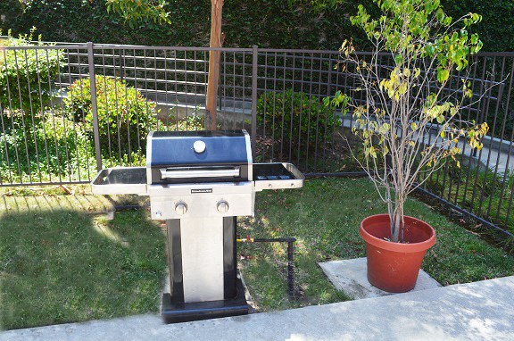 a barbecue grill in a backyard with a potted plant