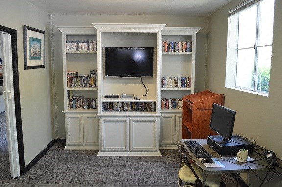 a living room with a television and book shelves