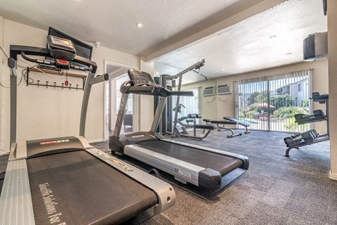 two treadmills and other exercise equipment in a gym with a sliding glass door