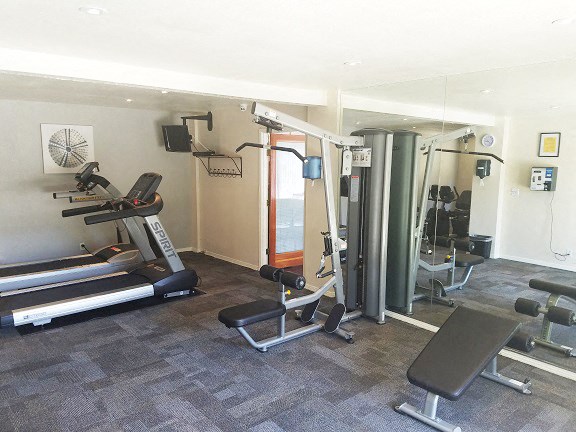 a gym with a lot of machines and weights