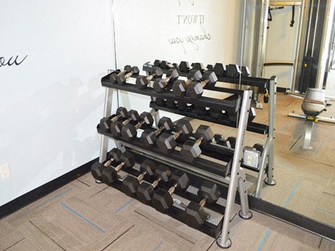 a bunch of weights on a rack in a room