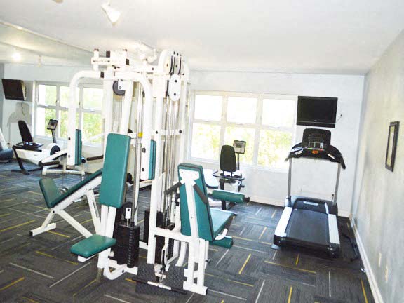 a gym with a lot of weights and a treadmill