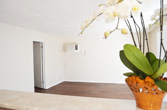 a vase with flowers on a counter in a room