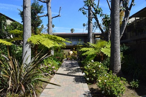 a walkway with trees and a house in the background