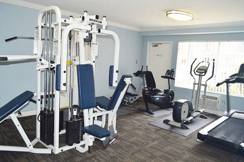 a gym with cardio equipment in a room with a window
