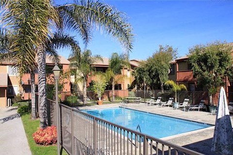 a swimming pool with palm trees next to a fence