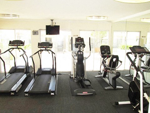 a gym with a lot of exercise equipment in it