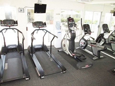 a group of exercise equipment in a gym