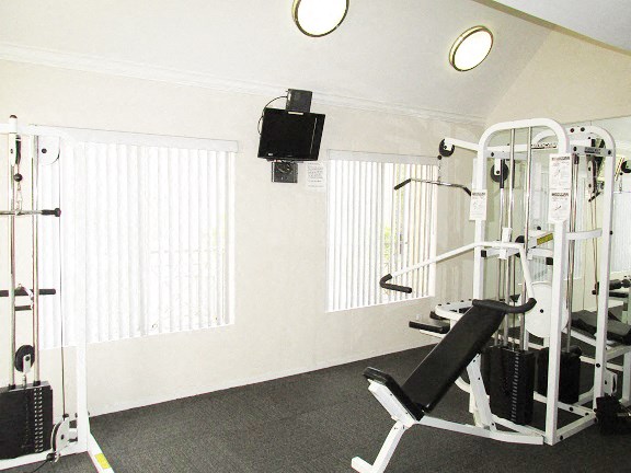 a gym with weights and a tv on the wall