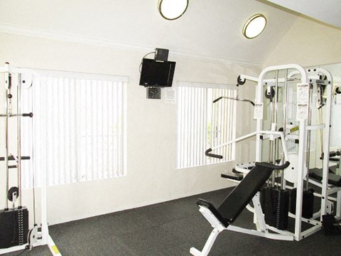 a gym with weights and a tv on the wall