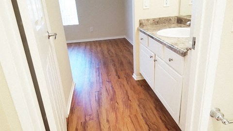 a bathroom with a sink and wooden floors