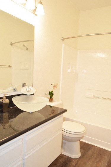 a bathroom with a sink and a toilet and a shower