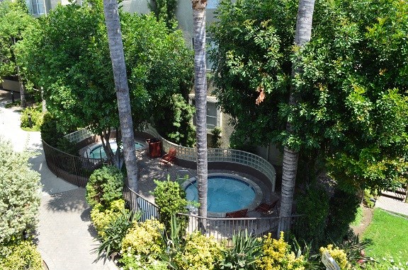 an aerial view of a swimming pool and trees