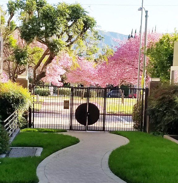 a wrought iron gate in front of a yard with a sidewalk