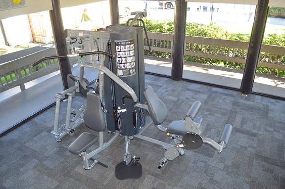 a gym with a weight machine in a building