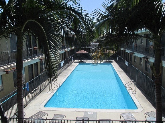 a swimming pool with palm trees and chairs around it