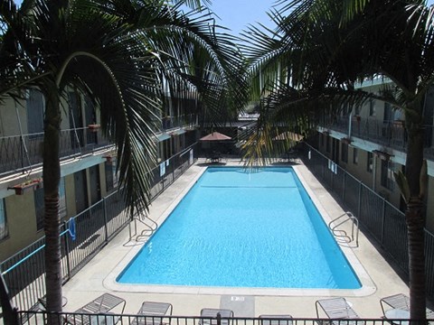 a swimming pool with palm trees and chairs around it