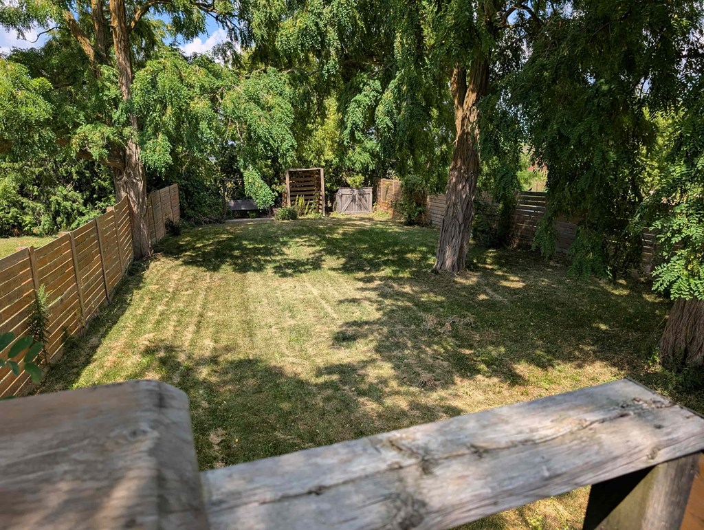 A backyard with a wooden fence and a tree.