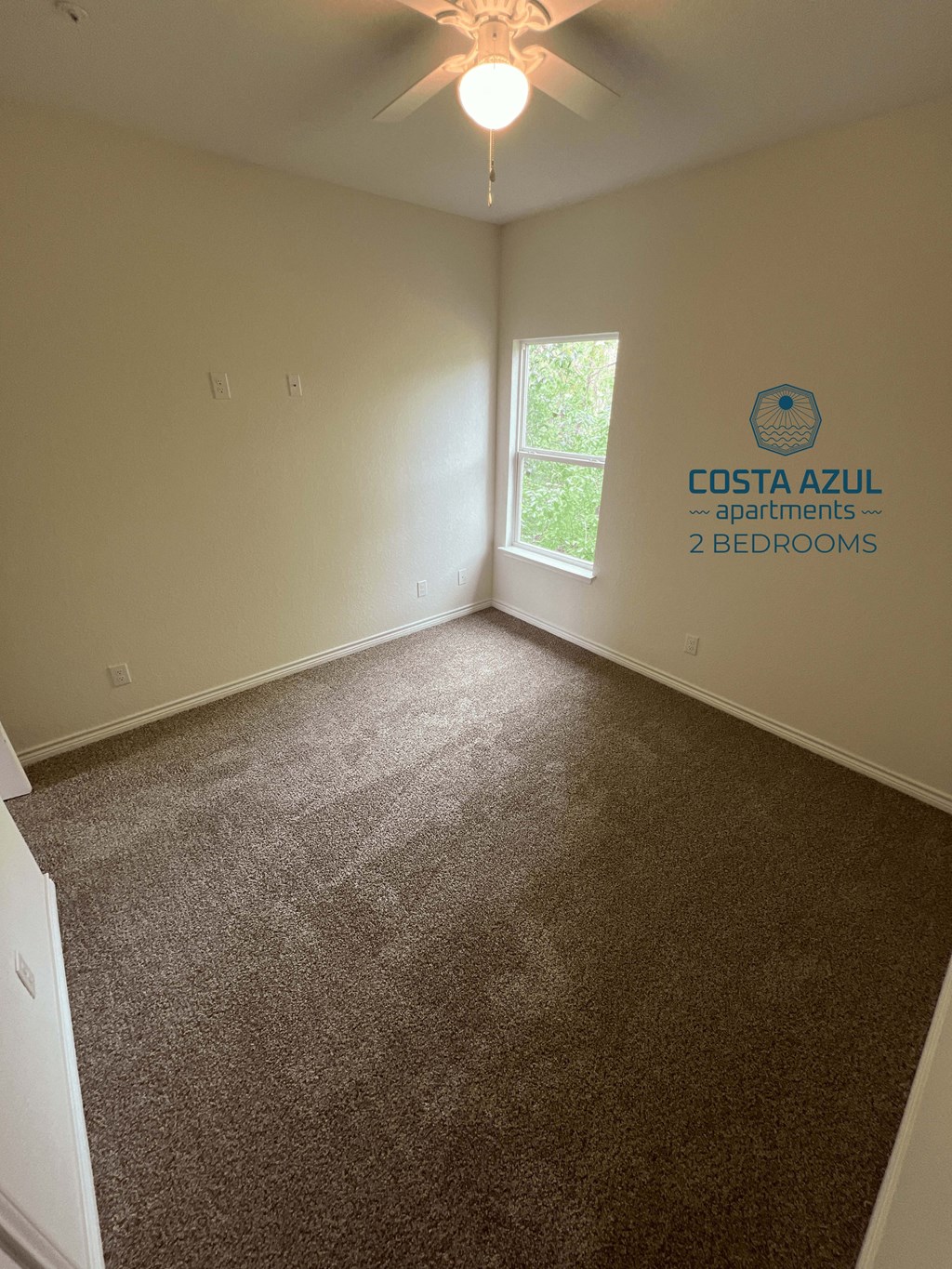 a carpeted room with a window and a ceiling fan