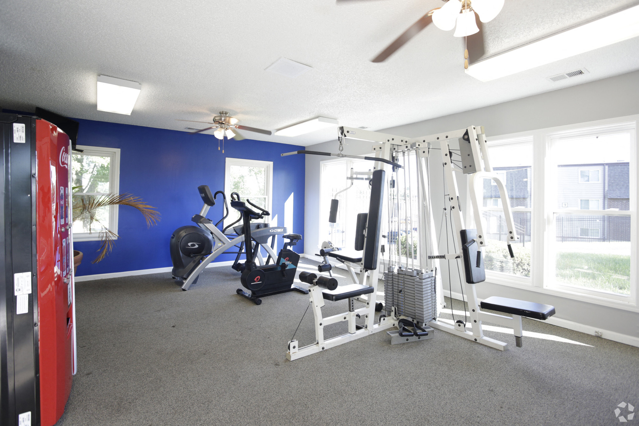 Workout room with modern gym equipment and bright blue wall