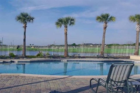 a swimming pool with palm trees and chairs