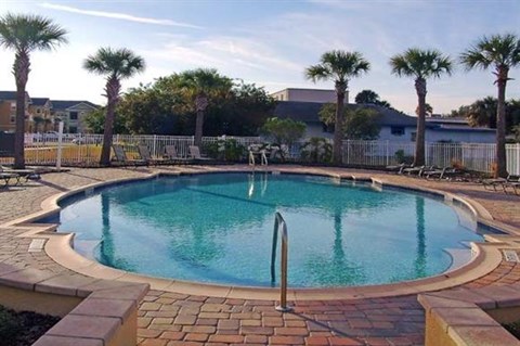 a large swimming pool with palm trees around it