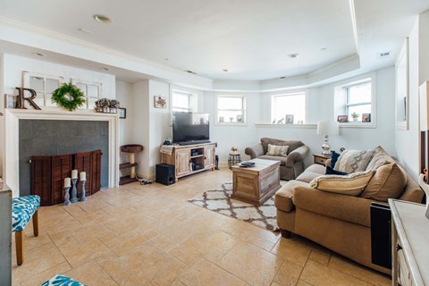 the living room has a fireplace and a tv
