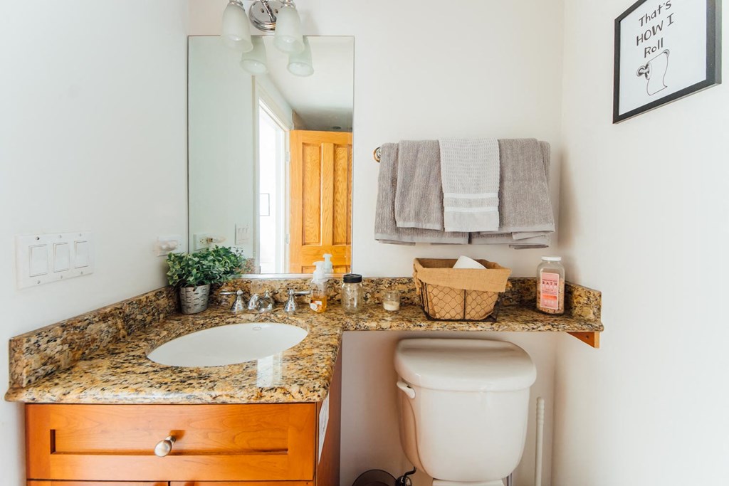 a bathroom with a sink and a toilet and a mirror