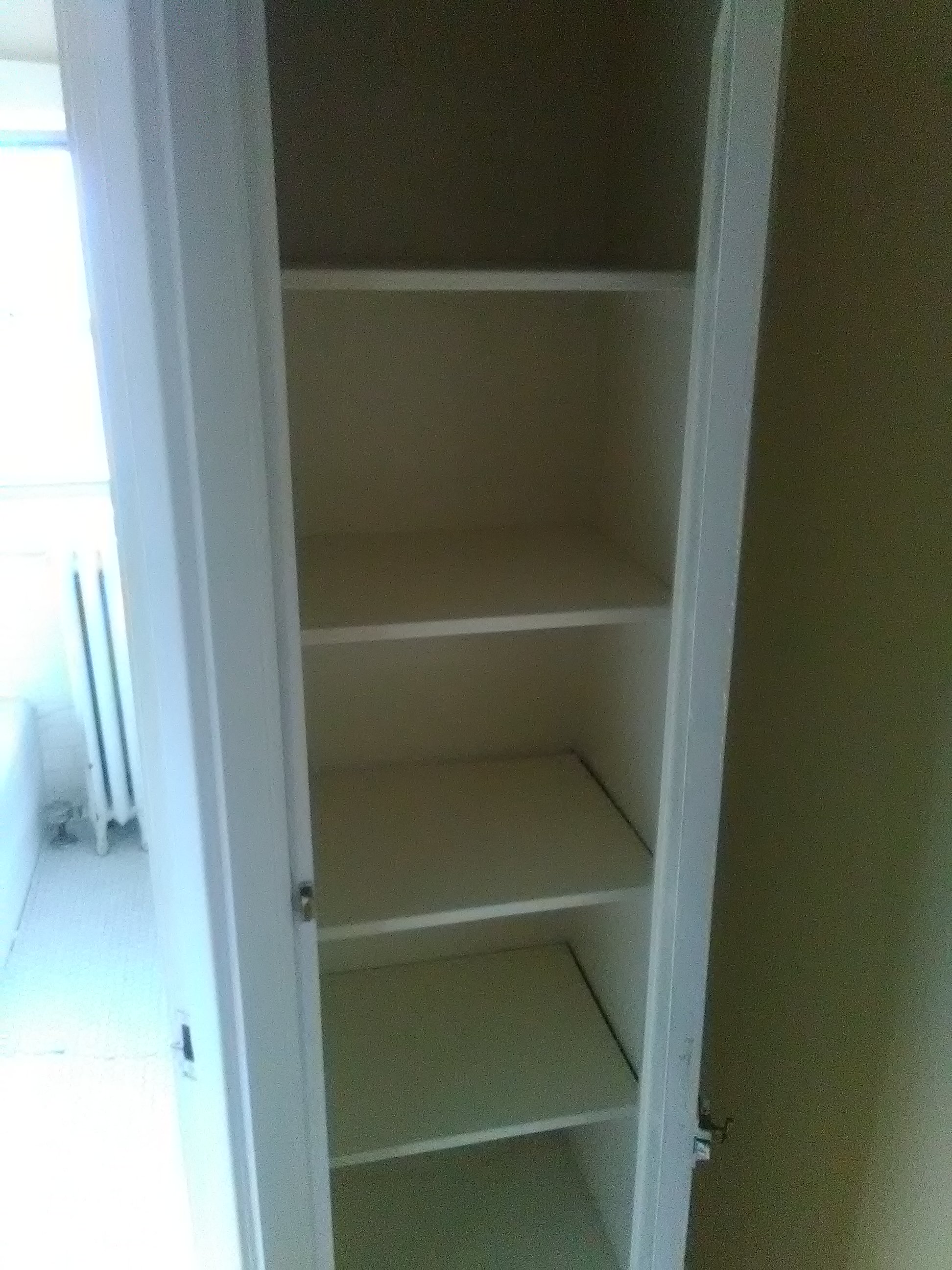 the empty shelves in the closet in the room