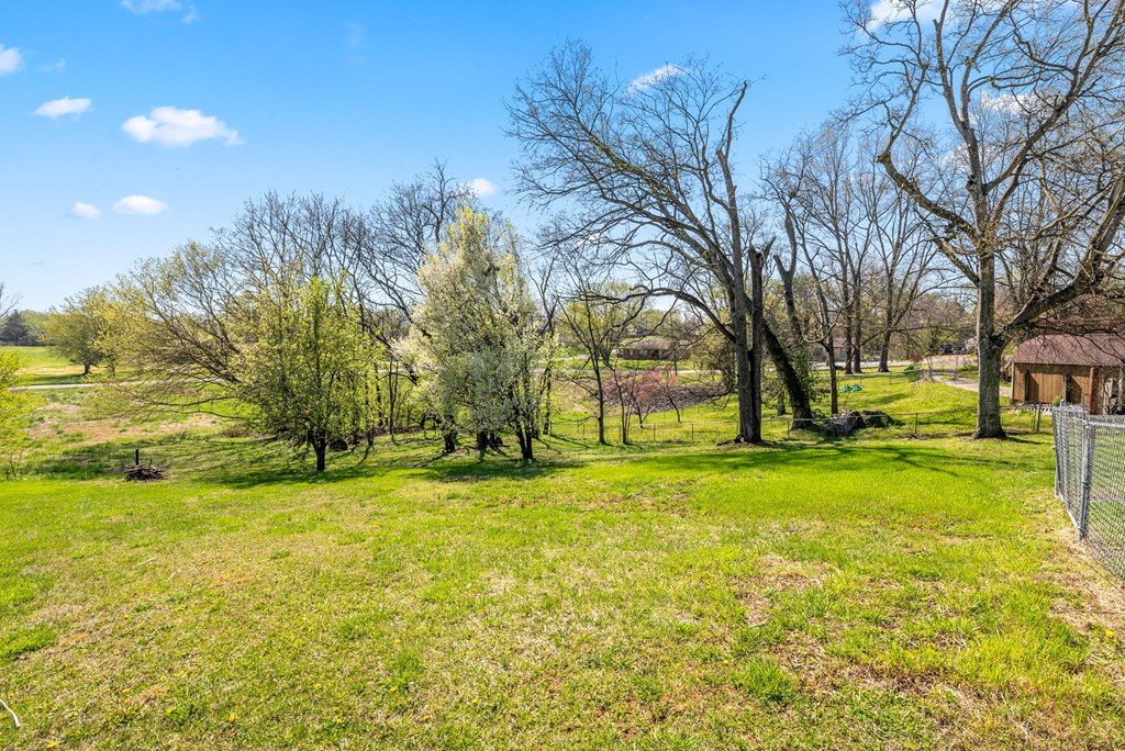 a grassy field with trees and a fence