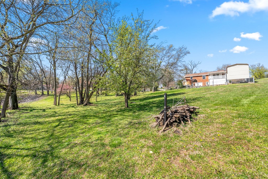 a grassy field with trees and a house in the background