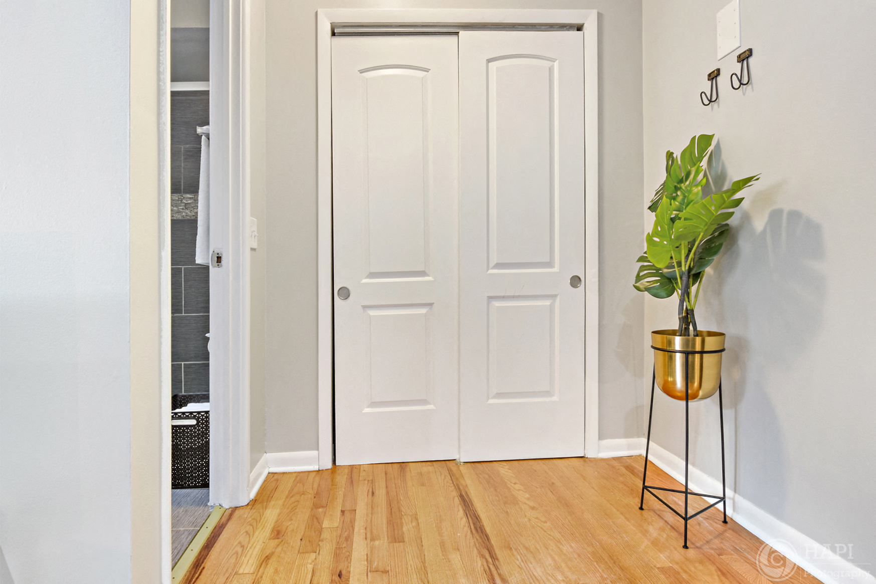 a room with two white doors and a plant on a stand