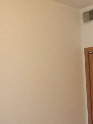 Rent, Apartments For Rent in Chicago, IL, Lakeview