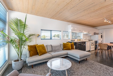 A living room with a grey couch and a white coffee table.