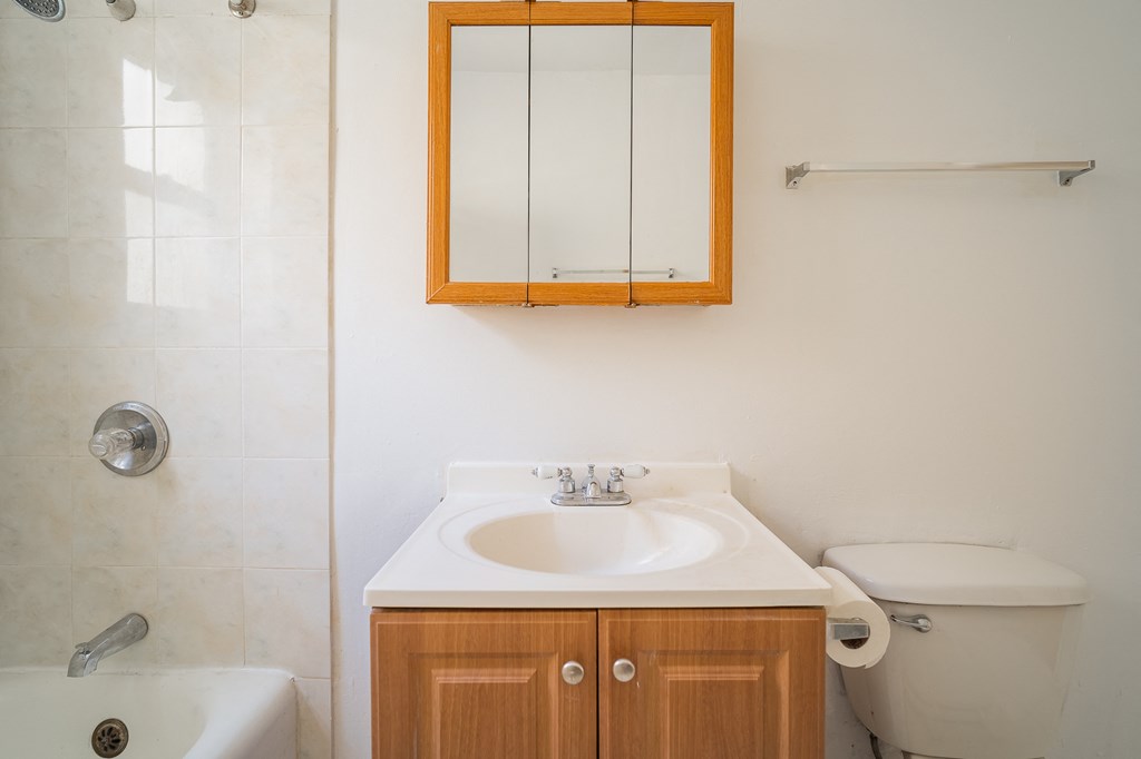 a bathroom with a sink and a mirror and a shower